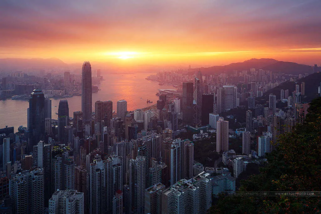 Hong Kong với những tòa nhà chọc trời nằm san sát.