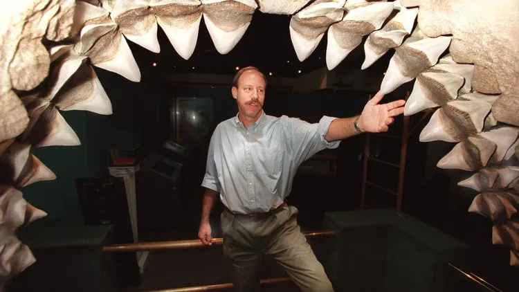 Jeff Seigel, người quản lý bảo tàng, đứng bên trong hàm hóa thạch khổng lồ của Megalodon.