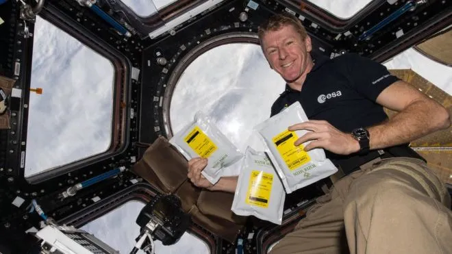 Phi hành gia người Anh Tim Peake.