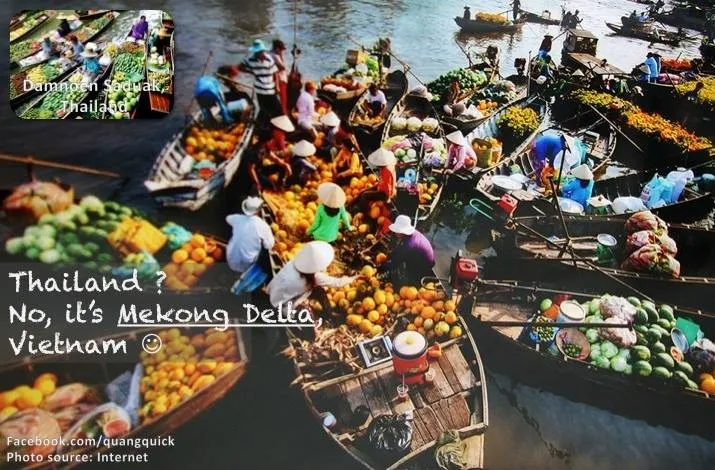 Muốn biết cảm giác đi chợ nổi, đừng đến Thái Lan. Hãy đến ngay đồng bằng Sông Cửu Long thôi, bạn cũng sẽ có trải nghiệm tuyệt vời ấy.