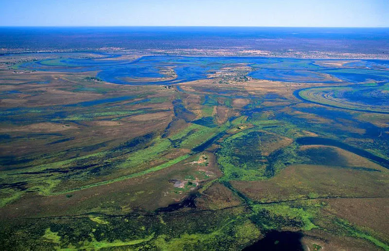 Đồng cỏ Okavango là một khu vực đồng bằng lớn với diện tích 7.770 km vuông