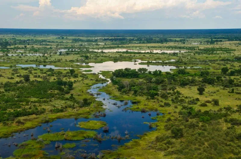 Okavango nổi bật với sa mạc Kalahari - cát cứng, khô cằn
