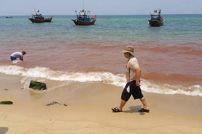 Vệt nước màu đỏ kéo dài 1,5km sát bờ biển Quảng Bình.