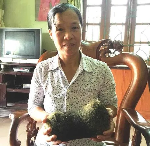 Vật nghi là "cát lợn" được tìm thấy trong dạ dày lợn nái của gia đình chị Nhàn.