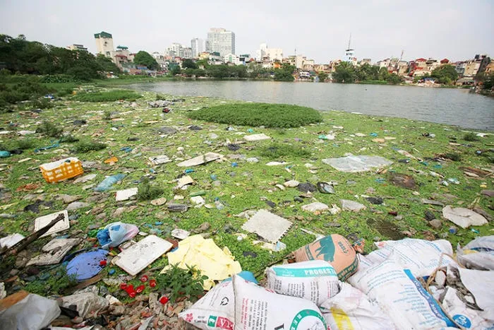 Hồ Linh Quang nằm ở ngõ Văn Chương II, phường Văn Chương, quận Đống Đa, diện tích 22.000 m2. Tình trạng ô nhiễm khiến nước hồ chuyển sang màu đen, bốc mùi xú uế, ven bờ bị rác thải và cỏ dại phủ.