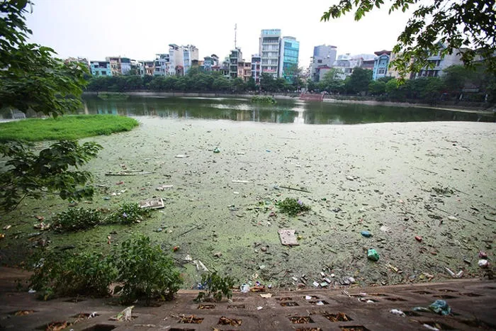 Hồ Văn Chương là hai trong số nhiều hồ đang bị ô nhiễm nặng ở Hà Nội bởi phải tiếp nhận nhiều nguồn xả thải.