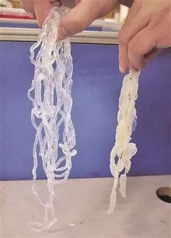 Sứa giả (trái) và sứa thật.