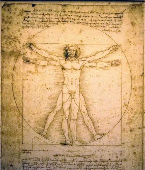 Leonardo đã dày công nghiên cứu về giải phẫu cơ thể người, cho thấy niềm đam mê của ông với cả khoa học và nghệ thuật.