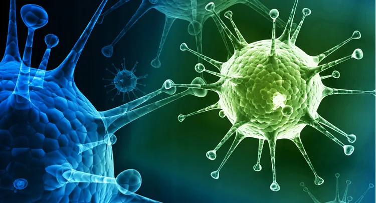 Công cụ mới đã được thử nghiệm trên một loạt các loại virus khác nhau bao gồm Ebola, sốt xuất huyết, cúm.