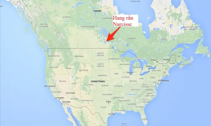 Manitoba, Canada, là nơi có nhiều hố sụt trên tầng đá vôi ở lớp đất mặt. Các hang động dưới đất này trở thành địa điểm lý tưởng cho những con rắn trải qua giấc ngủ đông 8 tháng