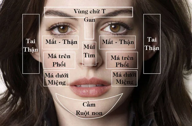 Mụn mọc ở những điểm này trên mặt, có nghĩa là các bộ phận tương ứng trong cơ thể bạn đang gặp vấn đề.