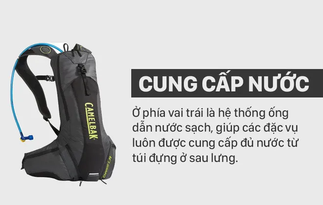 Chiếc túi nhỏ là hệ thống ống dẫn nước sạch.