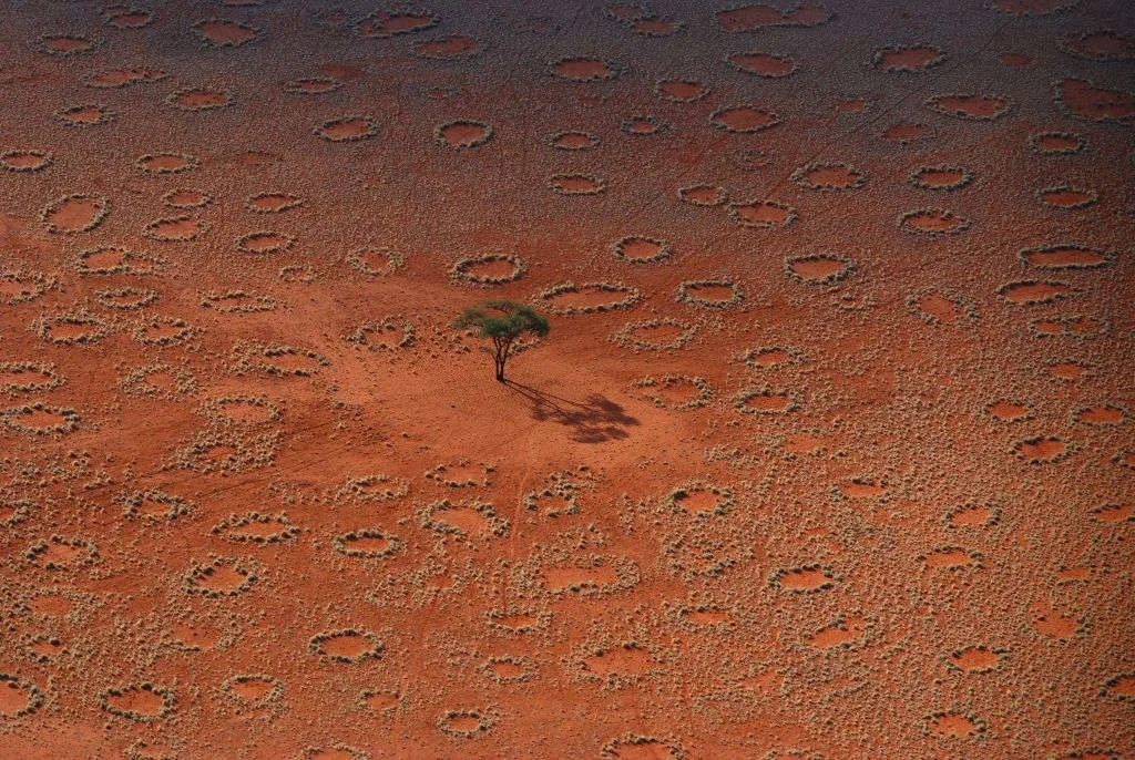 "Vòng tròn ma thuật" ở Namibia