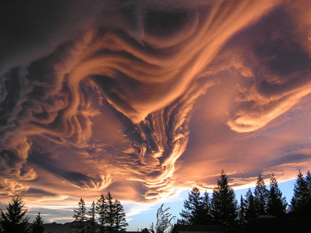 Đây là mây Undulatus asperatus