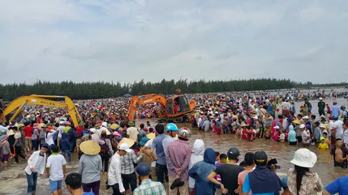 Đến 12h15, cá voi được giải cứu thành công trong tiếng vỗ tay vang dội của người dân đứng xem.
