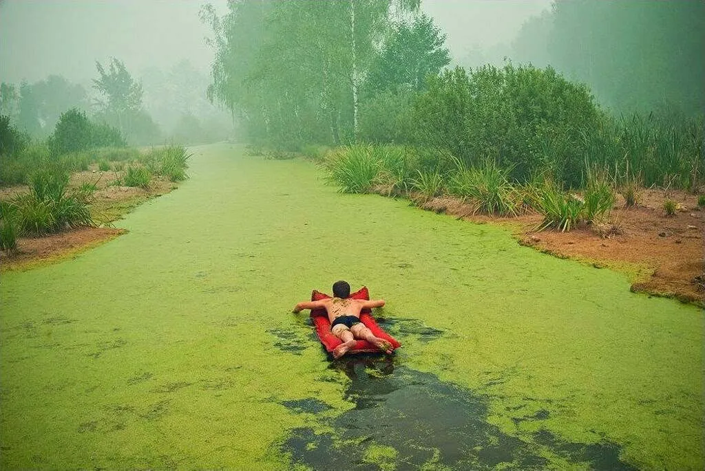 Bơi vào xứ sở màu xanh.