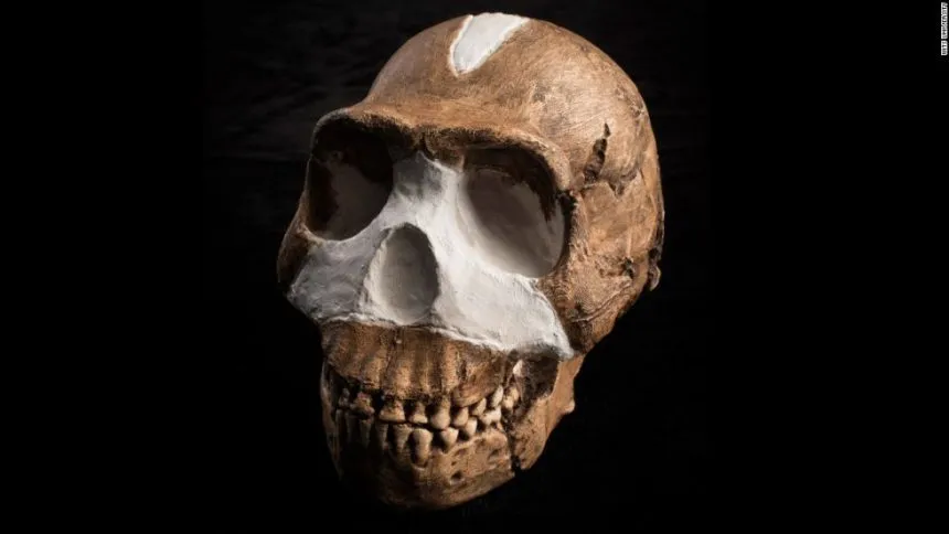 Người Homo naledi