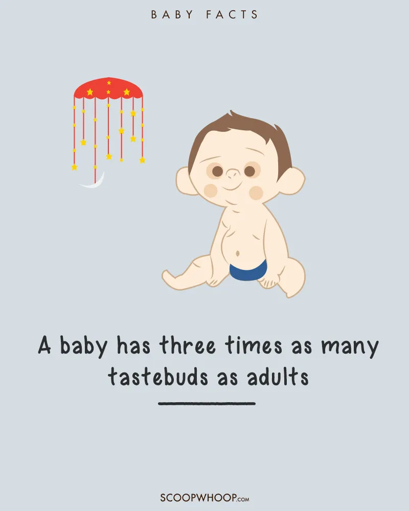 Một em bé sơ sinh sẽ có vị giác nhạy bén gấp 3 lần người lớn.