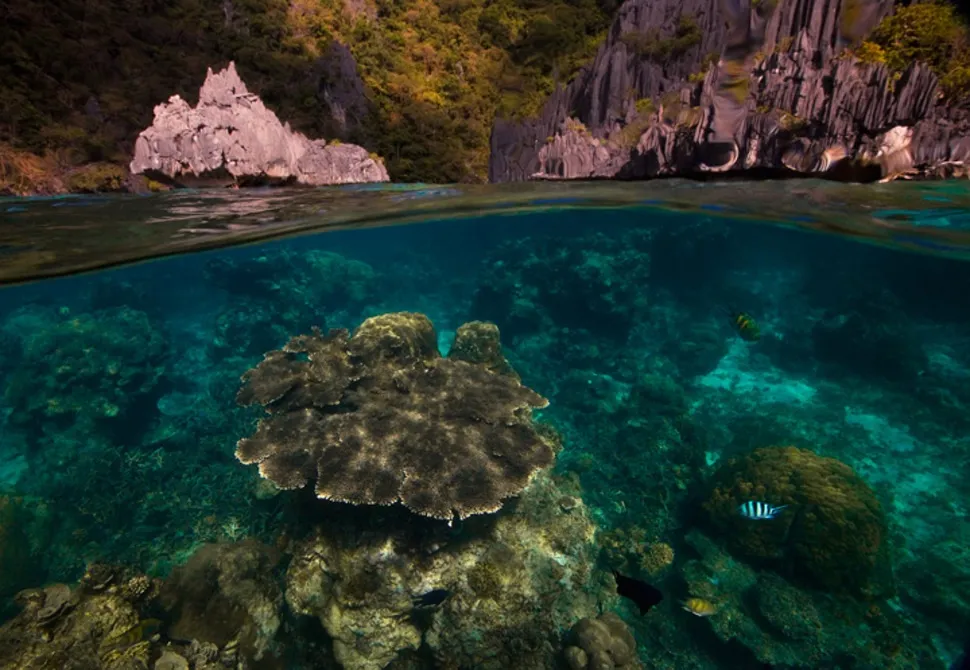 Đảo Palawan của Philippines, được gọi là "vùng đất nguyên sơ cuối cùng"