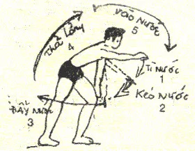 Học cách bơi sải.