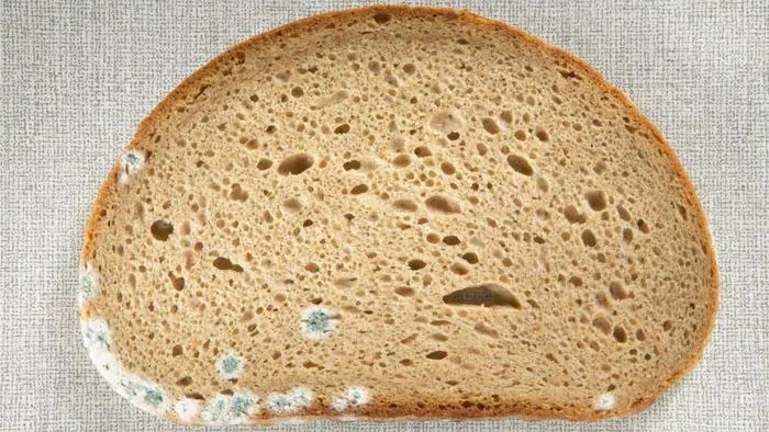 Bánh mì bị hỏng