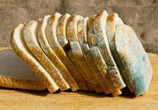 Bánh mì bị mốc