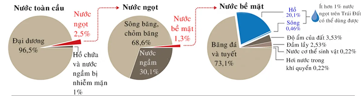 Vòng tuần hoàn của nước