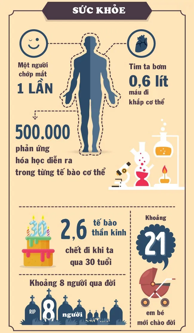 Cứ mỗi 5 giây, có 500.000 phản ứng hóa học diễn ra trong từng tế bào cơ thể.
