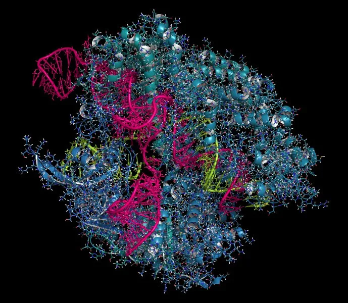 Tế bào vi khuẩn trong trạng thái sau khi "CRISPR".