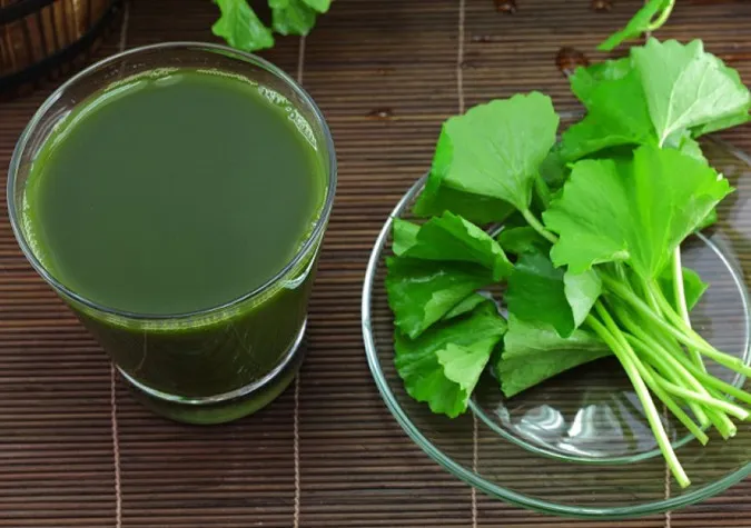 Những người không được uống nước rau má là phụ nữ có thai, đang nuôi con nhỏ...
