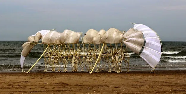 Theo Jansen đang "dắt Strandbeest đi dạo".