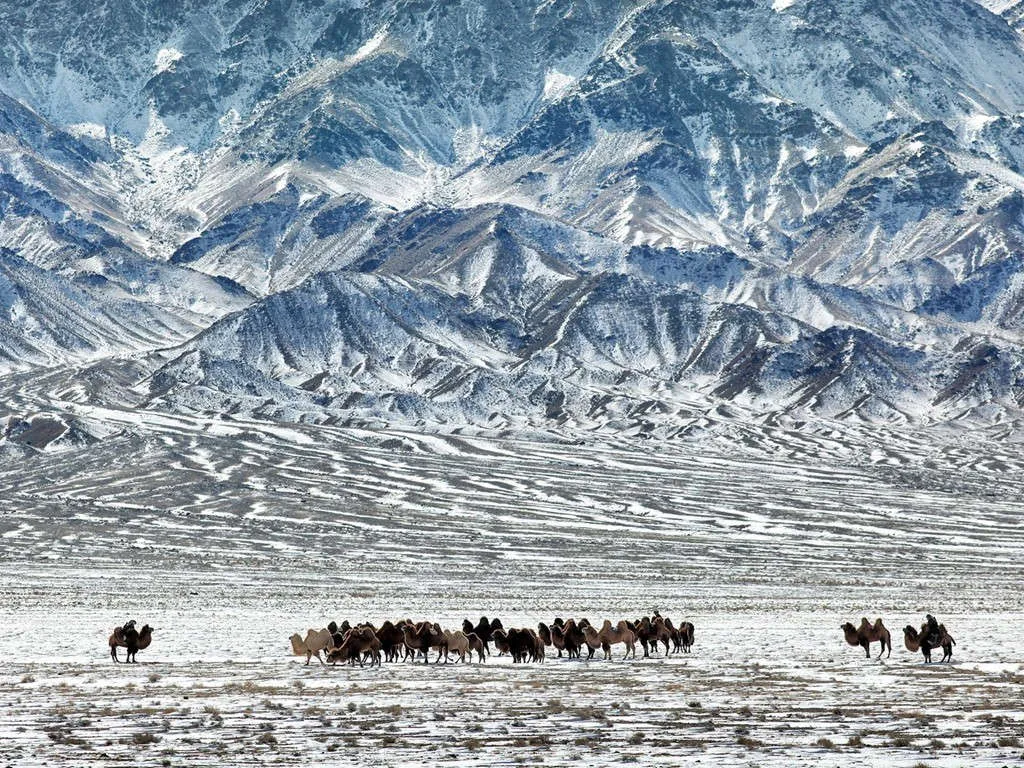 Sa mạc Gobi, Mông Cổ