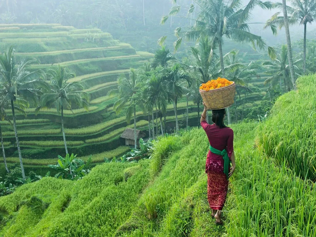 Ubud, Bali, Indonesia