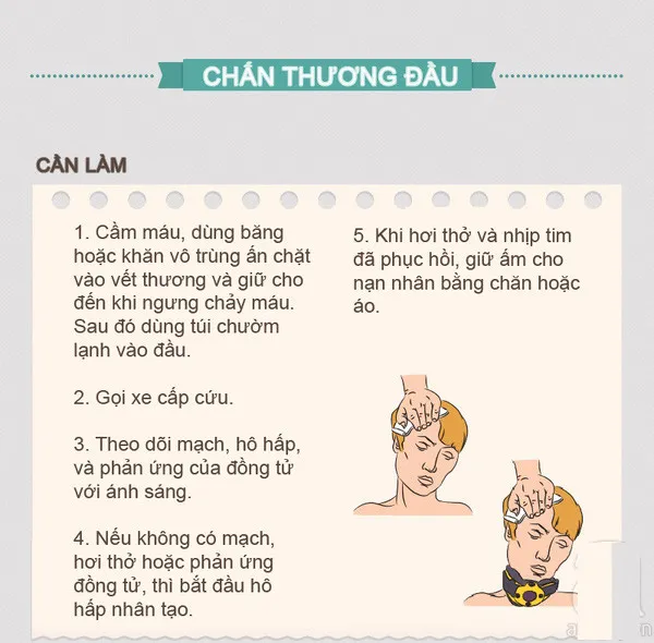Khi bị chấn thương đầu, cần cầm máu, dùng băng hoặc khăn vô trung ấn chặt vào vết thương và giữ cho đến khi ngưng chảy máu.