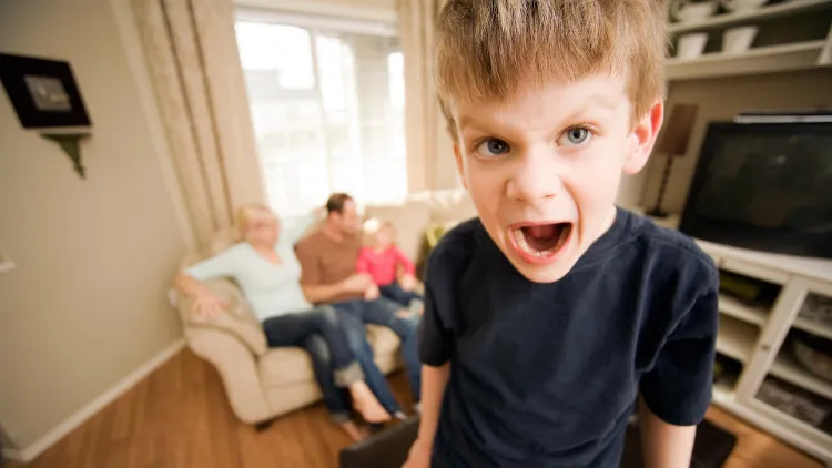 Người mắc SPD được chia làm ba loại: "quá nhạy" , "quá thiếu" và "hỗn hợp".