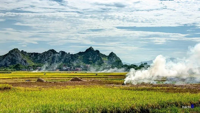 Từ xa đã có thể thấy những khối núi sừng sững nổi bật trên nền lúa chín vàng.