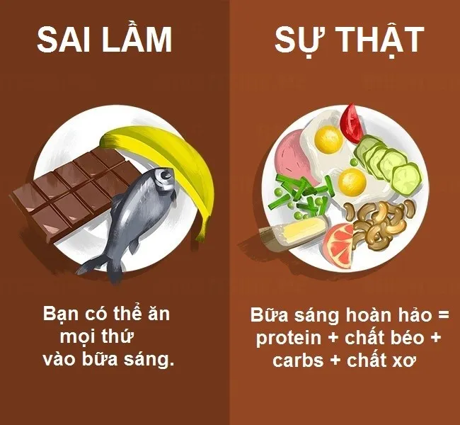 Theo các chuyên gia dinh dưỡng, một bữa sáng tốt nhất chính là bữa sáng giàu protein, chất xơ, kết hợp đồng đều với chất béo và carbs lành mạnh để cung cấp năng lượng cho một ngày dài.