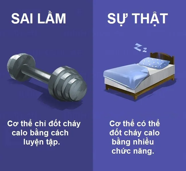 Cơ thể hoạt động và đốt cháy calo liên tục cả ngày bằng cách bạn di chuyển, đi, đứng, kể cả khi ngủ