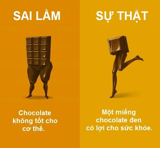 Một số nghiên cứu chỉ ra rằng ăn một lượng thích hợp chocolate đen mỗi ngày rất có lợi cho sức khỏe con người như giảm nguy cơ mắc bệnh tim mạch, kiểm soát sự thèm ăn...