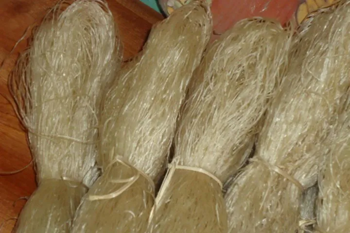 Miến sạch, không tẩy rửa có màu trắng đục giống như màu của củ dong riềng.