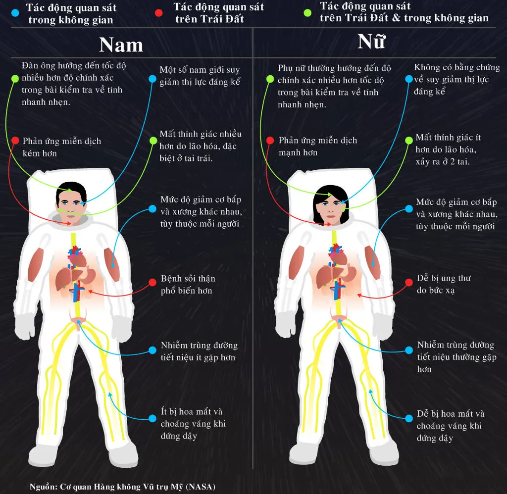 Những thay đổi của cơ thể đàn ông và phụ nữ trong không gian