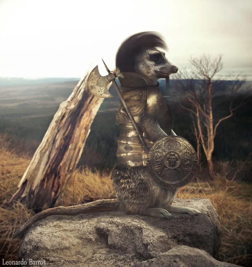 Cầy Meerkat, Leonardo Barros