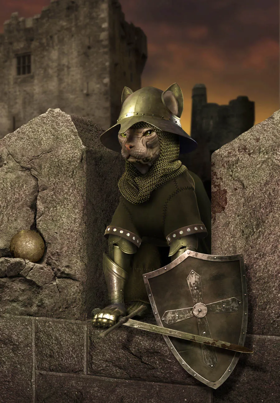 Mèo Sphynx, Imagarth