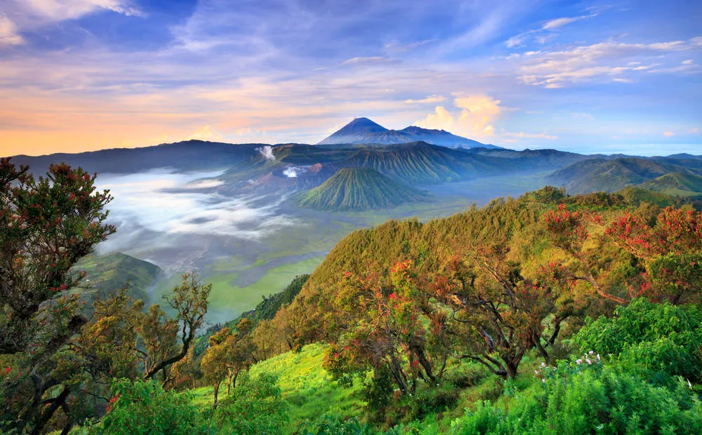 Bromo Tengger Semeru