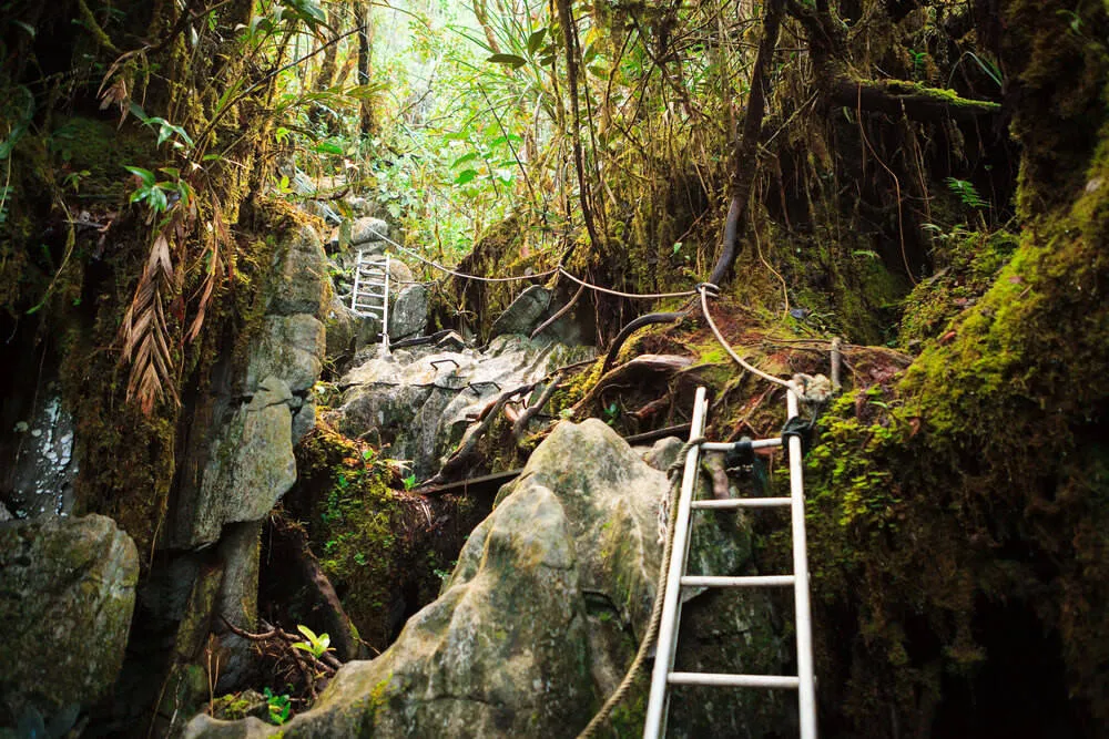 Gunung Mulu