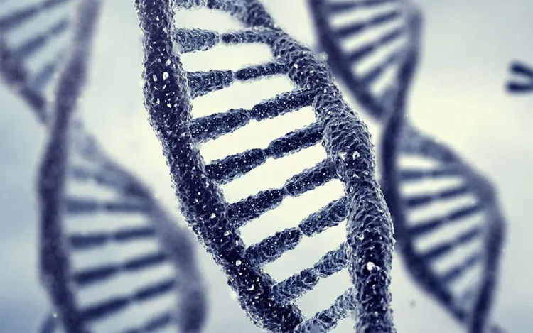 Từ điểm thử nghiệm gene, các nhà khoa học có thể kết luận người nào có nguy cơ mắc Alzheimer ngay từ khi bệnh chưa biểu hiện.