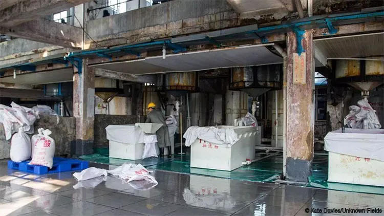 Toàn bộ vùng lân cận của khu mỏ này trở thành khu vực chết.