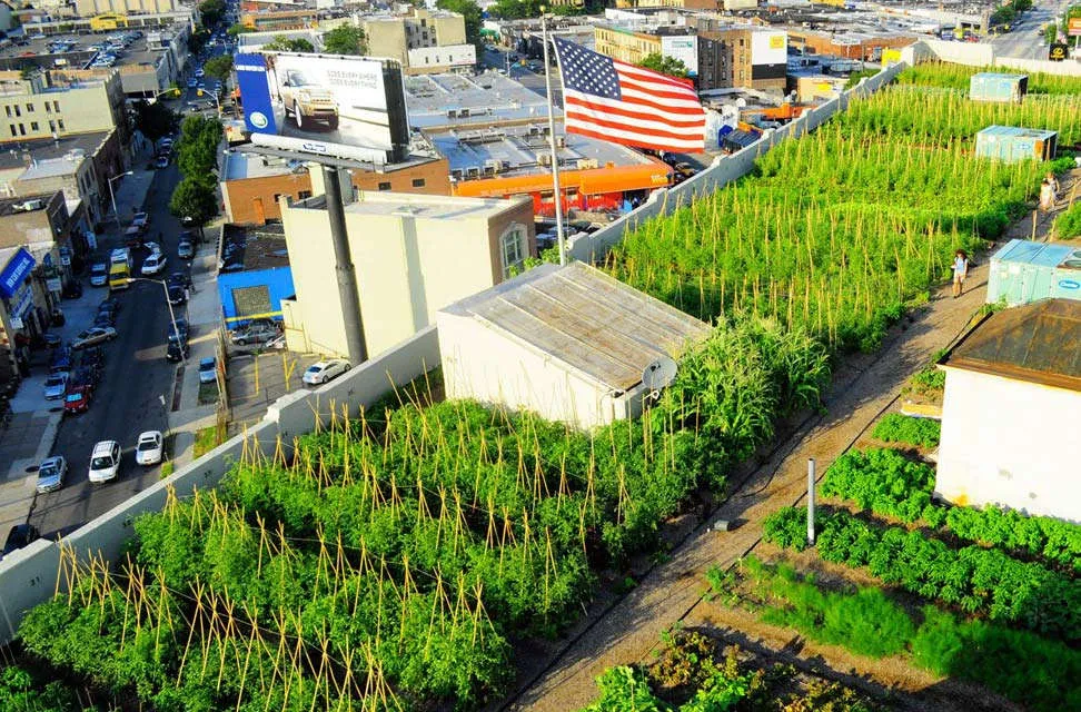 Đặc biệt, các chất gây ô nhiễm đáng lo ngại nhất ở đây là các kim loại nặng như chì, thải từ các ô tô,...