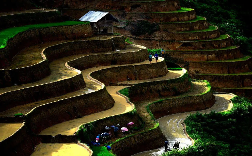 Những thửa ruộng nối đuôi nhau, ngoằn ngoèo từ dãy núi này sang dãy núi khác.