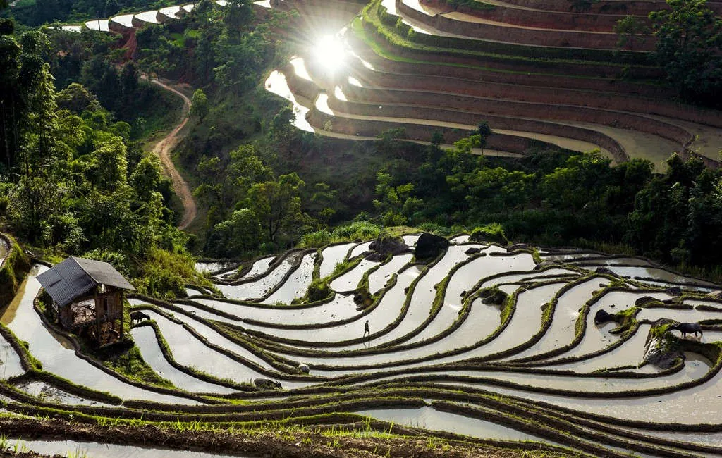 Tận hưởng khung cảnh ruộng bậc thang vào sáng sớm với những đường cong mềm mại, len lỏi trong đó là những làn mây trắng, ánh nắng chói chang buổi bình minh, những mái nhà xinh xắn...và hít hà hương vị của núi non cây cỏ sẽ cho du khách cảm giác vô cùng khoáng đạt.